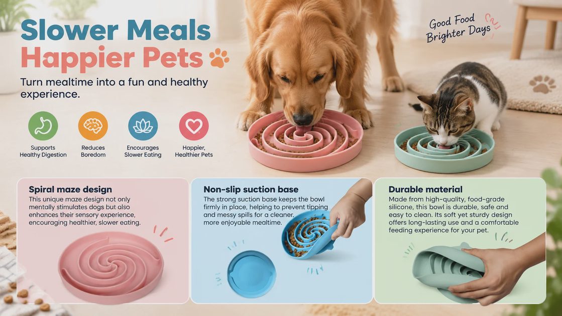 Dog and cat eating from Bifeaw silicone slow feeder bowls with spiral maze design