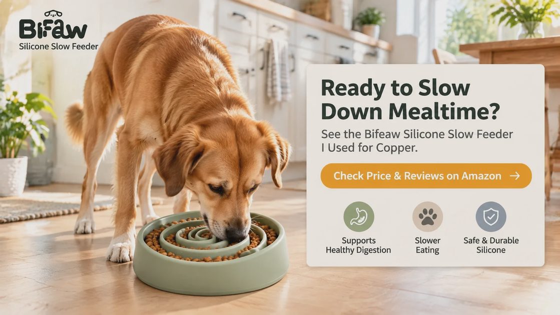 Golden retriever eating from Bifeaw silicone slow feeder bowl in a bright kitchen